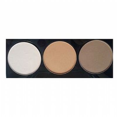 Paese Artist Contouring Palette No4