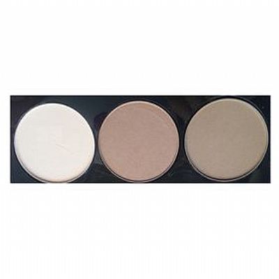 Paese Artist Contouring Palette No2