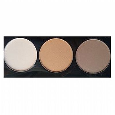 Paese Artist Contouring Palette No3