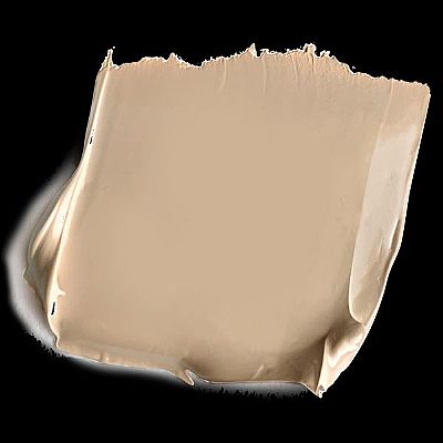 PAESE Collagen Moisturizing foundation 30ml 303 GOLDEN BEIGE