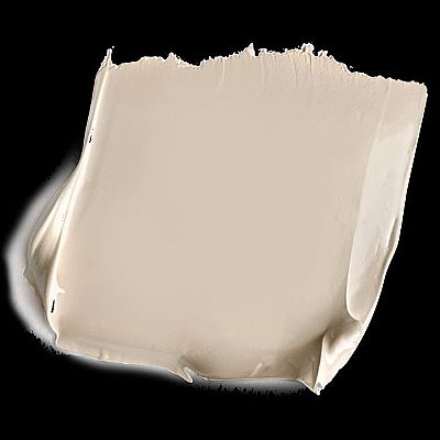 PAESE Collagen Moisturizing foundation 30ml 301W IVORY