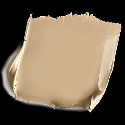 PAESE Collagen Moisturizing foundation 30ml 300W HONEY