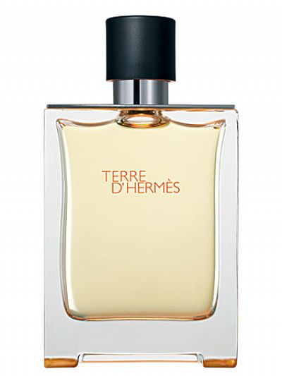 Hermes TERRE D HERMES EAU DE TOILETTE 100 ML