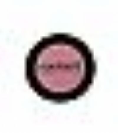 Radiant Blush Color 121 Winter Rose 4g