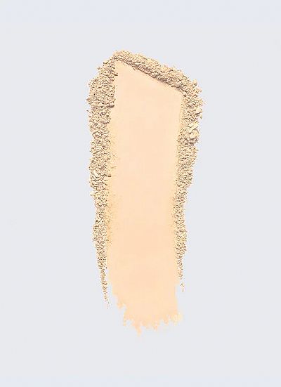 ESTEE LAUDER Double Wear Stay-in-Place Matte Powder Foundation SPF 10 2N1 DESERT BEIGE