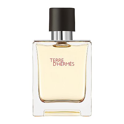 HERMÈS Terre d'Hermès, Eau de Toilette 100ML